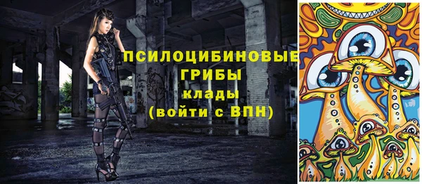 mdpv Бородино