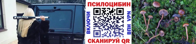 купить   Гай  Галлюциногенные грибы GOLDEN TEACHER 